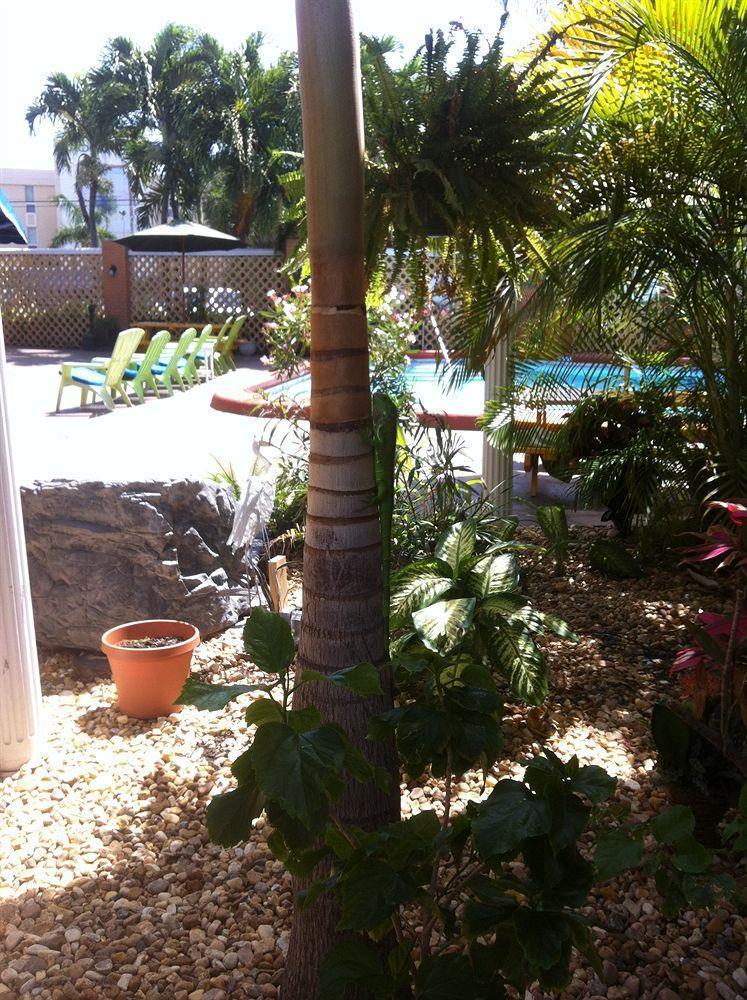 The Bridge At Cordova Boutique Hotel And Hostel Fort Lauderdale Eksteriør billede